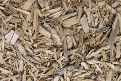 biomass boilers Dinedor